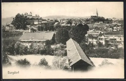 AK Burgdorf, Ortsansicht mit Burg aus der Vogelschau
