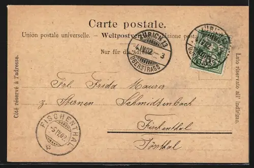 AK Zürich, Denkmal vor einer Kirche, Stadtpanorama vom Wasser aus