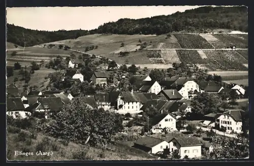 AK Elfingen /Aarg., Totalansicht aus der Vogelschau