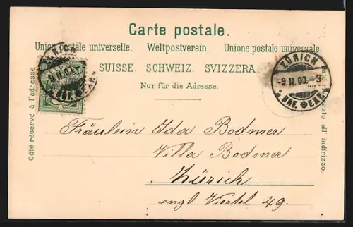 Mondschein-Lithographie Zürich, Alpenquai mit Löwendenkmal