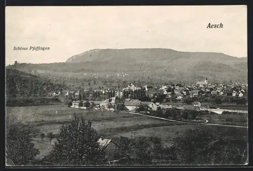 AK Aesch /BL, Ortsansicht mit Schloss Pfeffingen