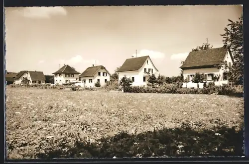 AK Birr /Aargau, Blumenwiese mit Wohnhäusern