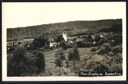 AK Birr-Lupfig, Ortspartie mit Kestenberg