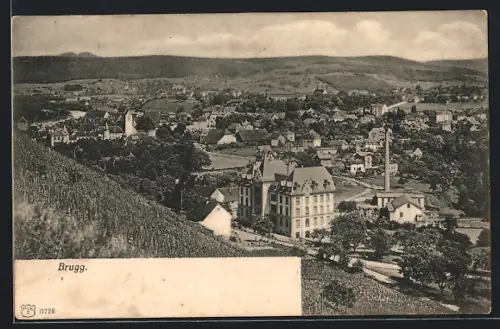 AK Brugg, Teilansicht mit Bäumen