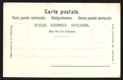 AK Brugg, Schwarzer Thurm, Gesamtansicht aus der Vogelschau