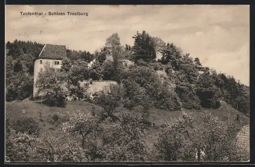AK Teufenthal, Schloss Trostburg