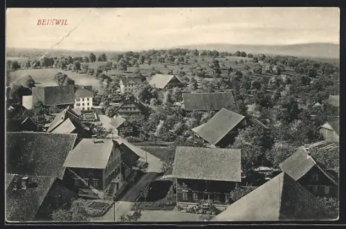 AK Beinwil /AG, Strassenpartie mit Bäumen