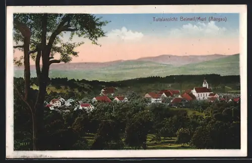 AK Beinwil /Muri, Totalansicht mit Kirche