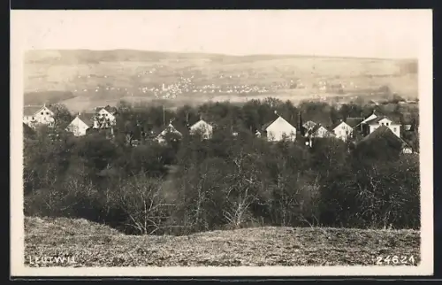 AK Leutwil, Teilansicht mit Bäumen