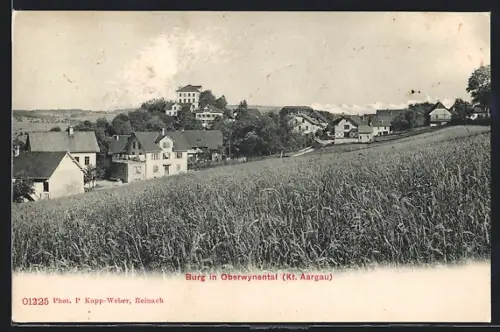 AK Burg in Oberwynental, Teilansicht der Ortschaft