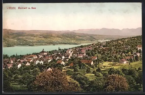 AK Beinwil a. See, Teilansicht mit Bergen