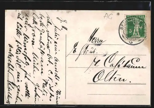 AK Beinwil a. See, Teilansicht mit Bergen