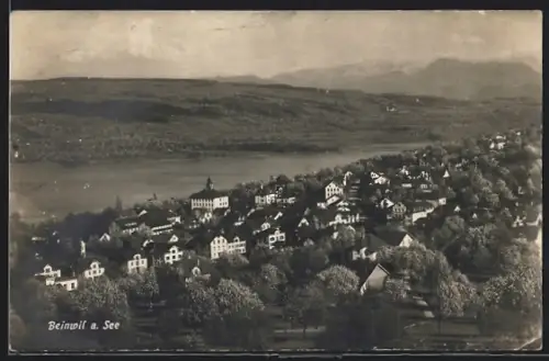AK Beinwil a. See, Teilansicht mit Bergen