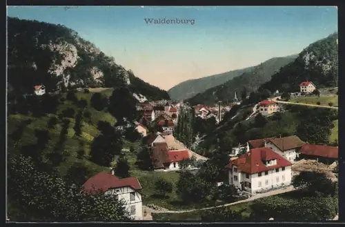 AK Waldenburg, Strassenpartie mit Bergen