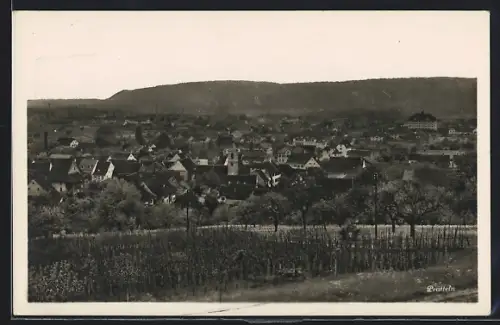 AK Pratteln, Teilansicht mit Bäumen