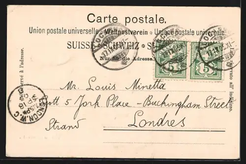 AK Locarno, Panorama