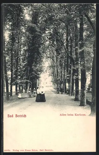 AK Bad Bertrich, Allee beim Kurhaus