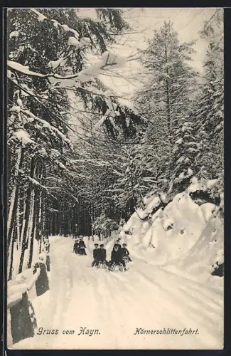 AK Hayn / Hochwald, Hörnerschlittenfahrt im Wald