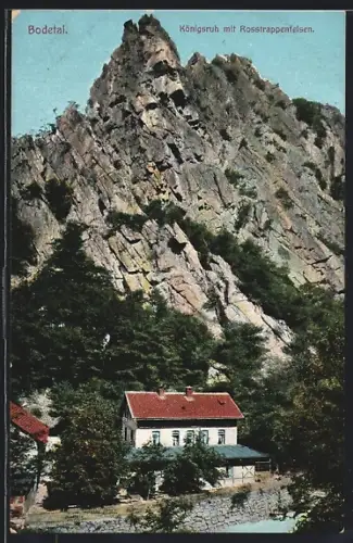 AK Königsruh /Bodetal, Königsruh mit Rosstrappenfelsen