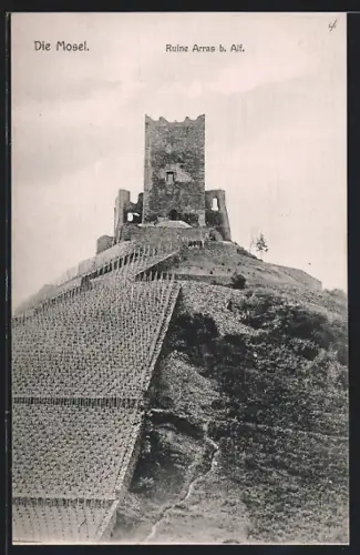 AK Alf, Ruine Arras, Weinanbaufläche