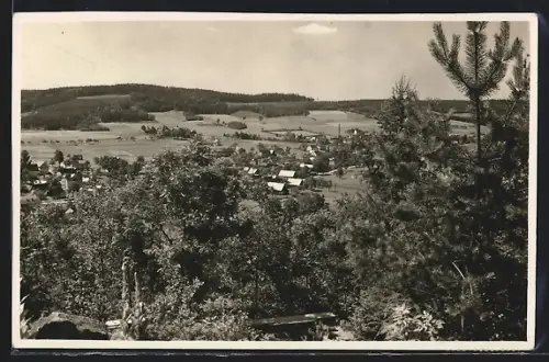 AK Wehrsdorf, Wald mit Ort im Hintergrund