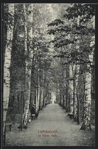 AK Lommatzsch, Im Herbs Park