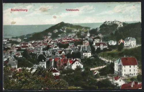 AK Blankenburg a. H., Totalansicht