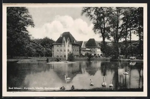 AK Bad Kösen, Mediz. Badeanstalt, Schwanenteich