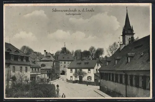 AK Schwarzenbach a. d. Saale, Ludwigstrasse