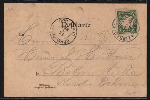 Lithographie Lindau / Bodensee, Hafeneinfahrt, Marktplatz, Diebsturm m. Peterskirche