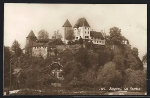 AK Burgdorf, Blick zum Schloss
