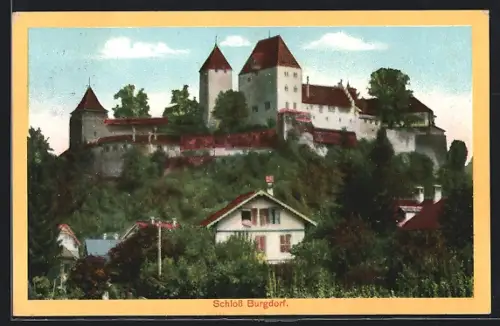 AK Burgdorf, Schloss Burgdorf, Panorama