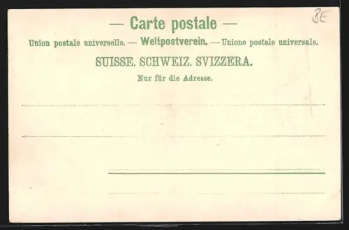 AK Brünig, Haslethal mit Brienzersee von der Brünigstrasse aus gesehen