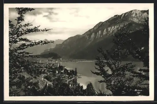 AK Brienz, Ortsansicht mit Bahngleisen