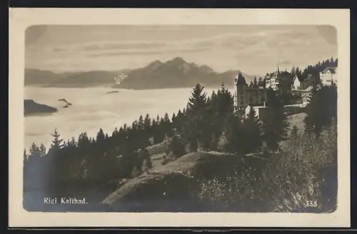 AK Rigi Kaltbad, Panorama mit Hotel