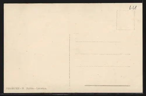 AK Rigi Kaltbad, Panorama mit Hotel