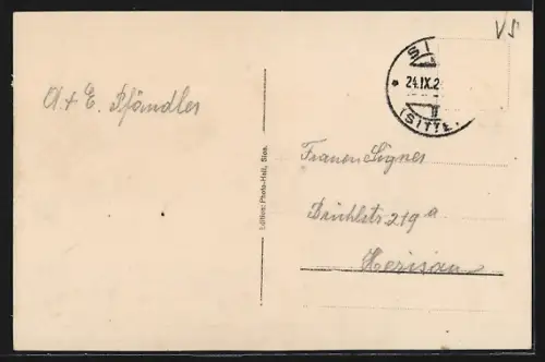 AK Sion, Vue générale