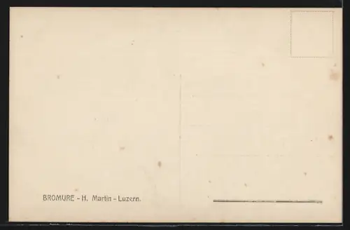 AK Zürich, Ortsansicht mit Alpenblick