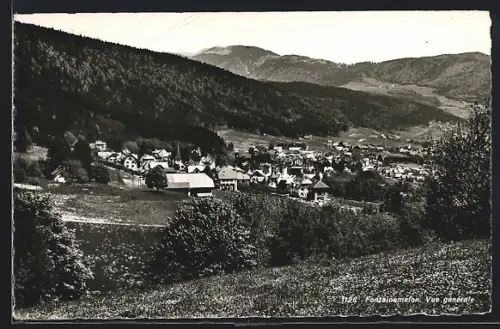 AK Fontainemelon, Vue générale