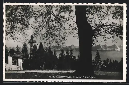 AK Chaumont /NE, la Tour et les Alpes