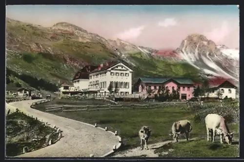 AK Maloja, Kulm-Hotel mit Kühen auf der Weide