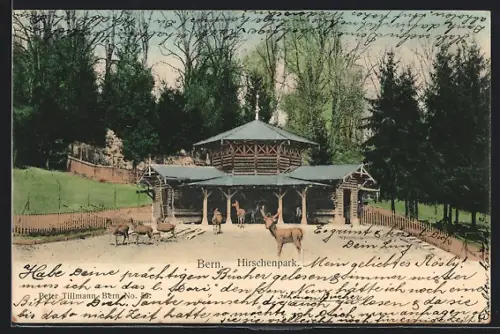 AK Bern, Partie im Hirschenpark