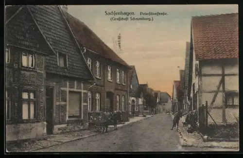 AK Sachsenhagen /Schaumburg, Petersilienstrasse