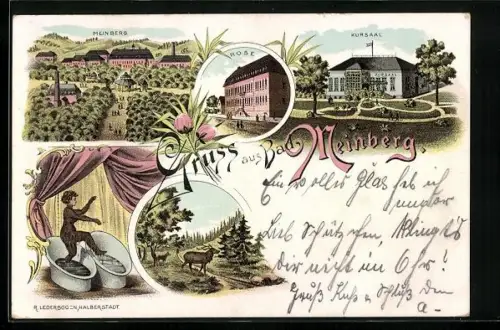 Lithographie Bad Meinberg, Heilanstalt, Kurhaus, Hotel Rose