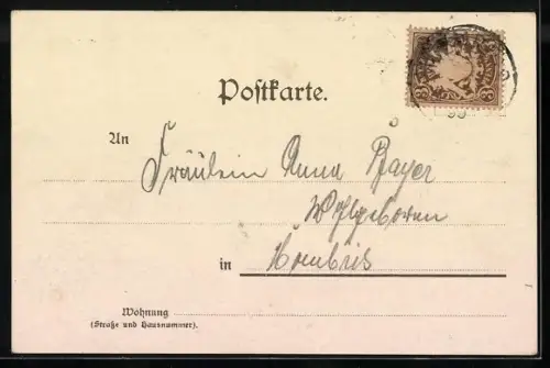 Lithographie Bad Meinberg, Heilanstalt, Kurhaus, Hotel Rose