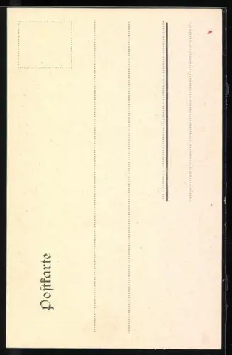 AK Marne / Dithmarschen, Steindamm, C. Ritters Geschäft