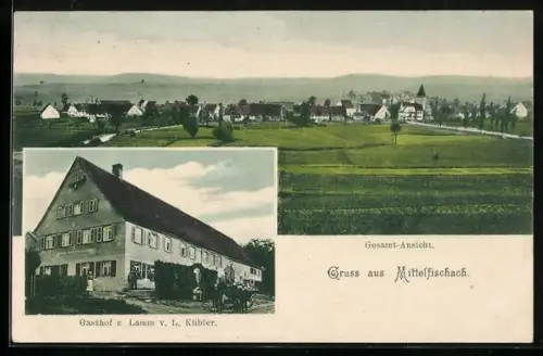 AK Mittelfischach, Gasthof z. Lamm v. L. Kübler, Totalansicht
