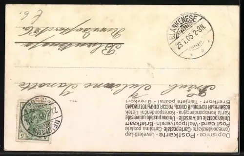 AK Amor fährt mit einem Wagen voller Blumen