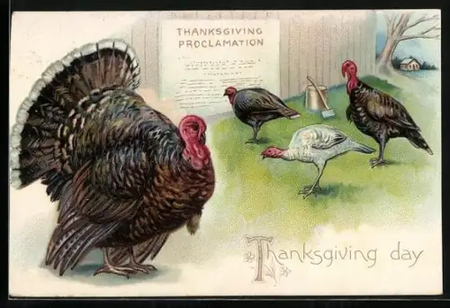 Präge-AK Thanksgiving Proclamation, Truthahn auf einer Wiese