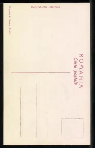 AK Prinzessin Ileana von Rumänien, Kinderportrait